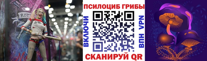 Галлюциногенные грибы мухоморы  продажа наркотиков  Нижневартовск 